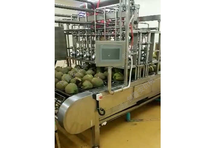 椰子真空取水机