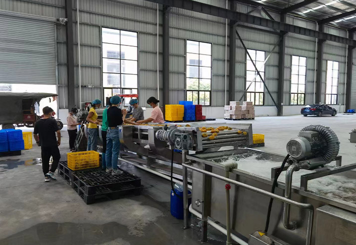 http://cpa-china.cn/data/images/product/20231010103556_506.jpg