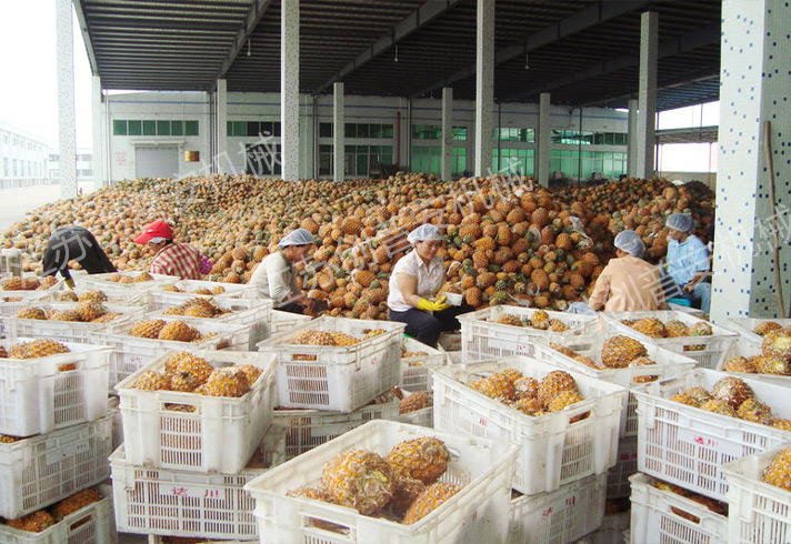http://cpa-china.cn/data/images/product/20231010114640_916.jpg