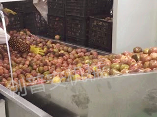 http://cpa-china.cn/data/images/product/20231018173727_837.jpg