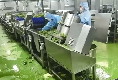 HPP蔬菜汁